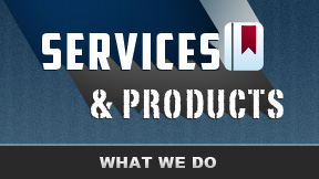 web design development company, website and server management web design development company